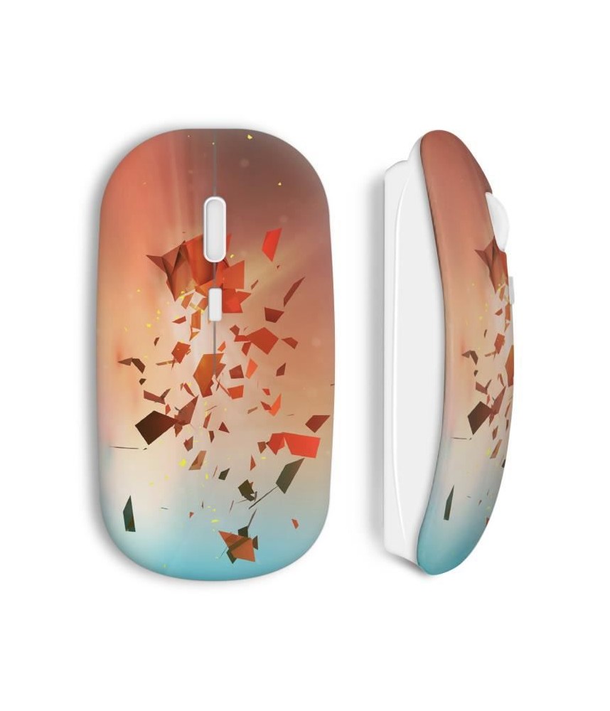 Souris sans fil Ariel petite sirène Raiponce Pokaountasse wireless mouse maniacase amazon art design